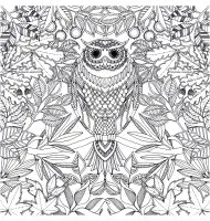 Desenhos Para Colorir Para Crianças Gratuitos De Animais