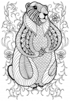 Desenhos Para Colorir Gratuitos Para Crianças De Animais