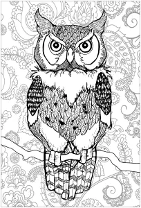 Desenhos Simples Para Colorir De Animais Para Imprimir E Colorir
