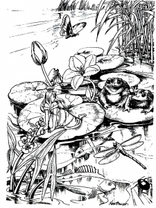 Desenhos Para Colorir De Animais Para Baixar