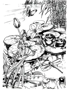 Desenhos Para Colorir De Animais Para Baixar