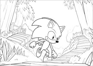 Sonic pronto para novas aventuras