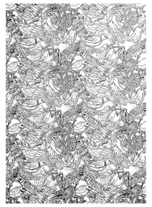 Desenhos para colorir gratuitos de pássaros para baixar