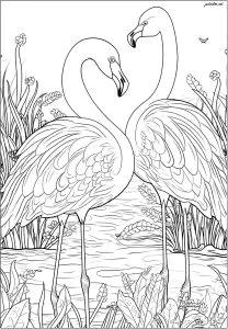 Dois bonitos flamingos cor-de-rosa num rio