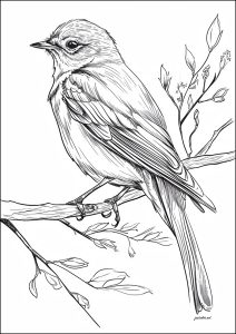 Desenho realista de um pássaro num ramo