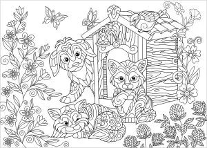 Desenhos para colorir gratuitos de gatos para crianças