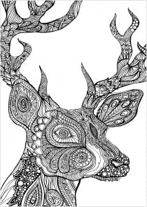 Desenhos Para Colorir Para Crianças De Veados
