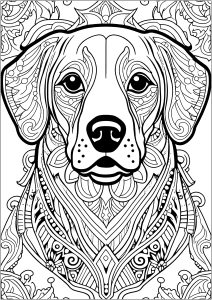 Cão com padrões bonitos