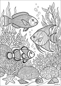 Peixes 49147