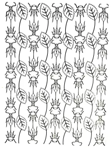 Desenhos para colorir gratuitos de flores e vegetação para baixar