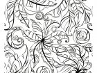 Folhas Bonitas