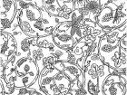 Desenhos Para Colorir De Borboletas E Insetos Para Baixar