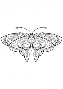 Desenhos para colorir de Borboletas e insetos para imprimir