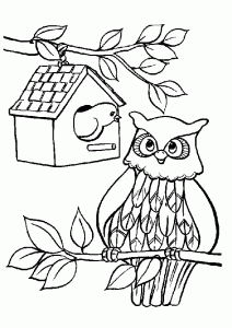 Desenhos Para Colorir De Animais Para Crianças