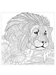 Desenhos para colorir gratuitos de Leões para baixar