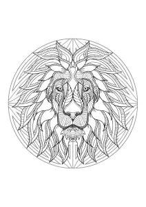Mandala E Cabeça De Leão