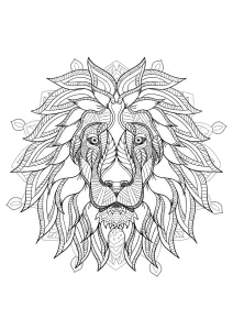 Cabeça De Leão Numa Mandala