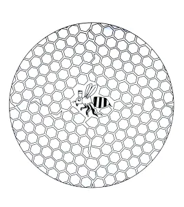 Livre Mandala Para Colorir : Abelha Na Colmeia
