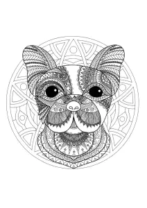 Mandala Com Cabeça De Cão Engraçada E Padrões Elegantes