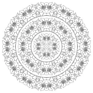 Mandala complexa com muitas flores