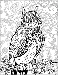 Desenhos Para Colorir Gratuitos De Corujas Para Imprimir