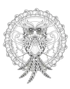 Desenhos para colorir de corujas para baixar