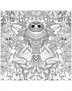 Desenhos Para Colorir Gratuitos De Corujas Para Crianças