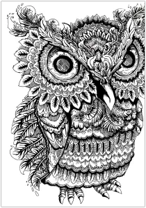 Desenhos para colorir gratuitos de corujas para imprimir e colorir
