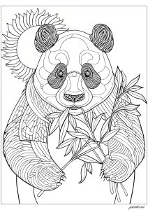 Panda a comer bambu, de pé