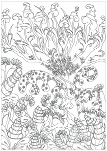 Desenhos para colorir de Selva & Foresta para imprimir