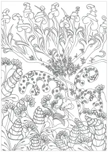 Desenhos para colorir de selva & foresta para imprimir