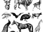 Desenhos Para Colorir Gratuitos De Vintage Para Baixar