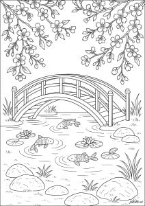Ponte, flor de cerejeira japonesa e Carpesa Koï