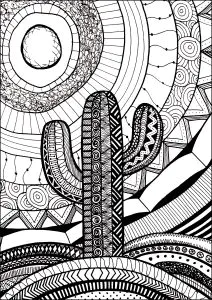 Cactos Ao Sol