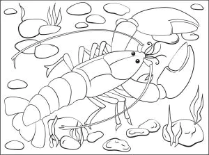 Grazioso disegno di un'aragosta da colorare