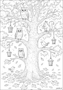 L'albero dei gufi e degli scoiattoli