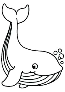 Grande Balena Che Fa Le Bolle.