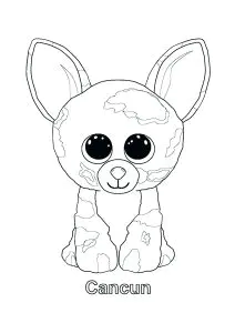 Cancun (chihuahua)