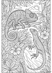 Disegni da colorare di camaleonti e lucertole da scaricare