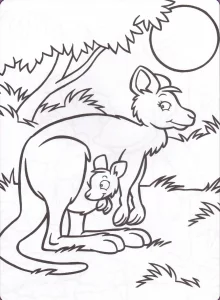 Disegno di canguro da stampare per bambini