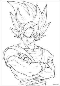 Goku Molto Muscoloso
