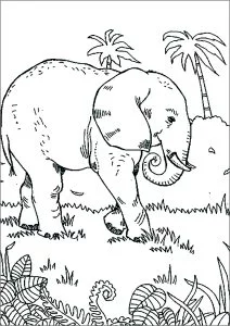 Elefante che cammina nella savana.