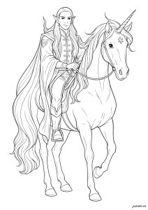 Cavaliere elfico su un unicorno
