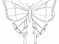 Disegno di farfalle gratuito da stampare e colorare