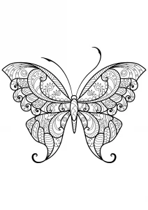 Disegno di farfalle da stampare e colorare gratis