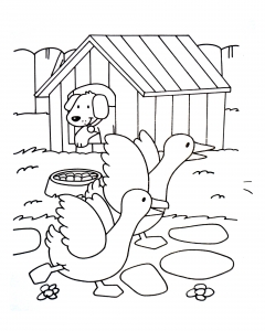 Disegno Da Colorare Della Fattoria Per Bambini
