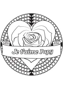 Rosa E Testo 