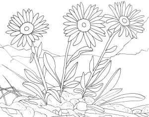 Disegni di fiori da colorare per bambini.