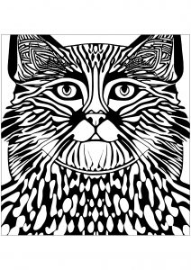 Gatto Buffo
