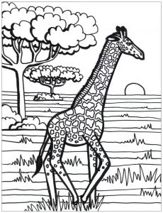 Giraffa che corre